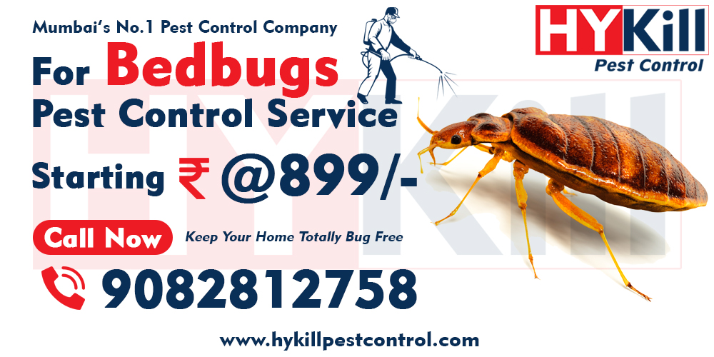 Bedbugs Pest Control